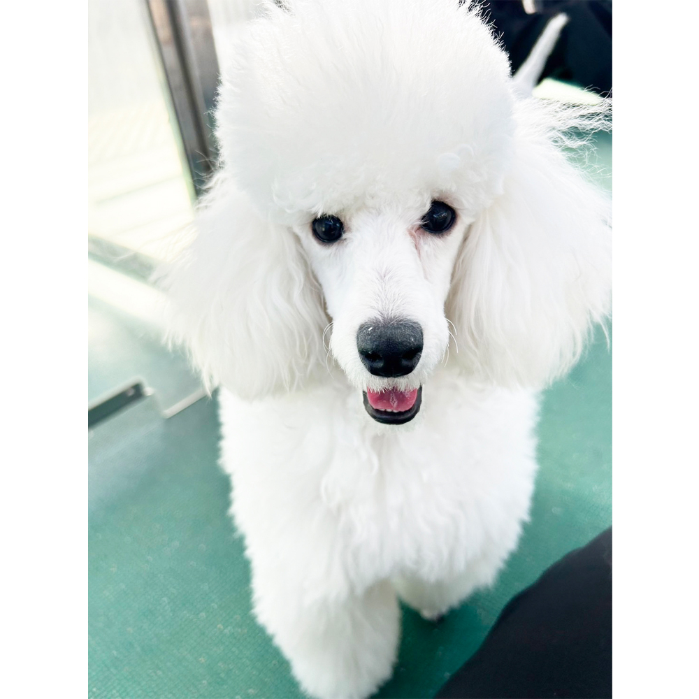 生徒が撮影した写真を送ってくれました！①